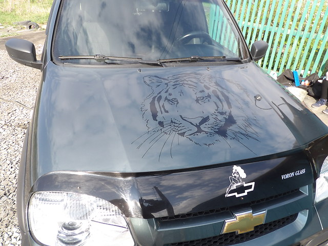 Chevrolet Niva  Омск 2016 1