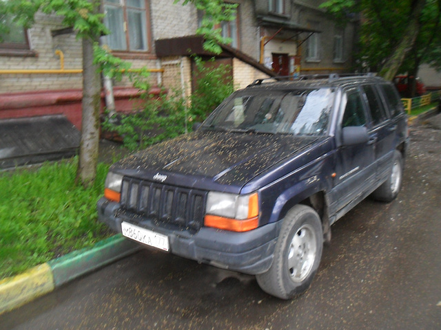 Jeep Grand Cherokee  Москва 1998 1
